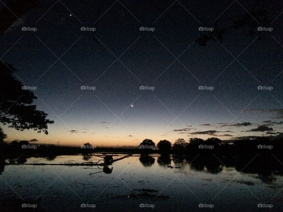 Silhouette over the rice fields after the sun goes down