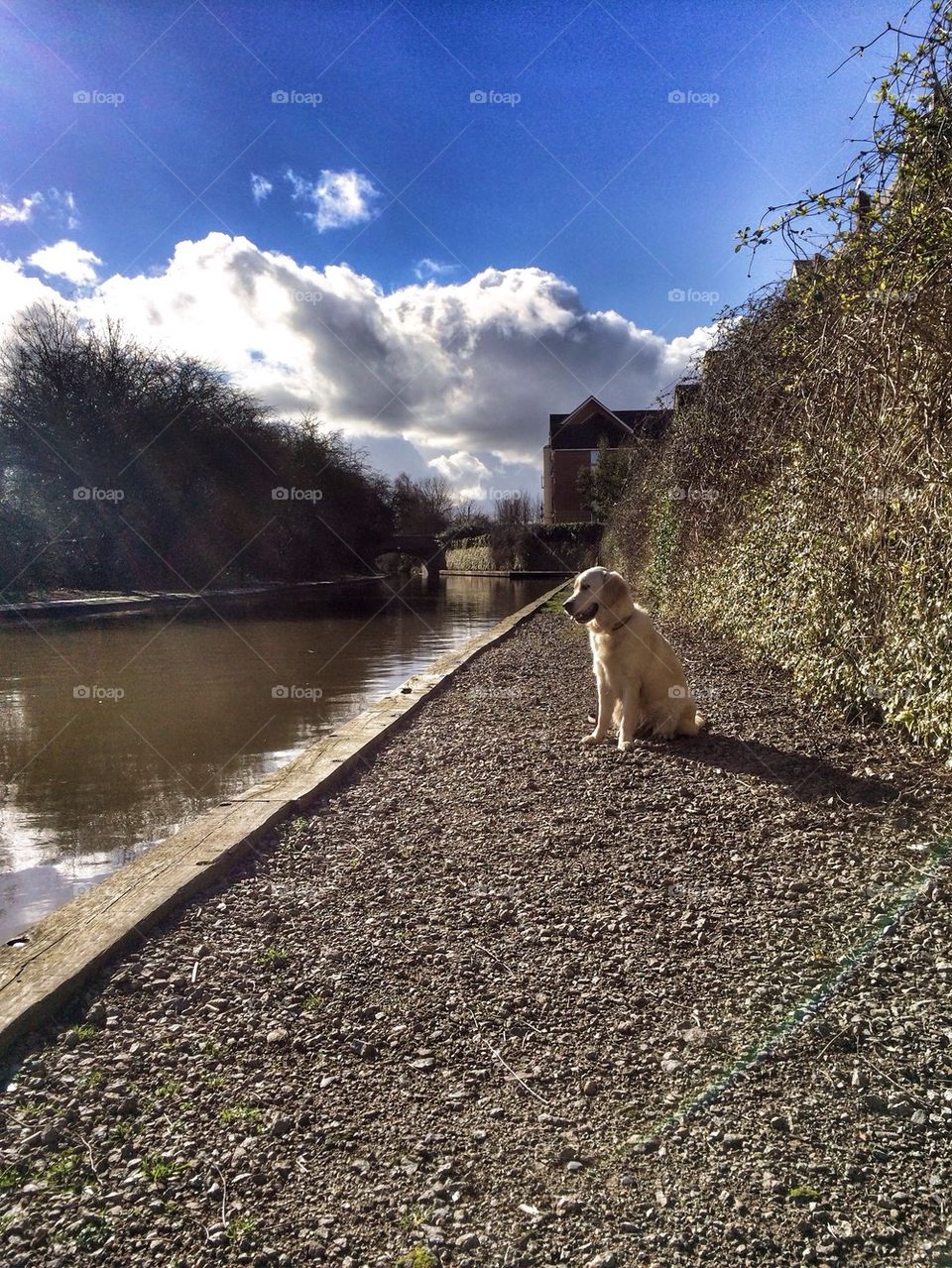 Zoe at the canal