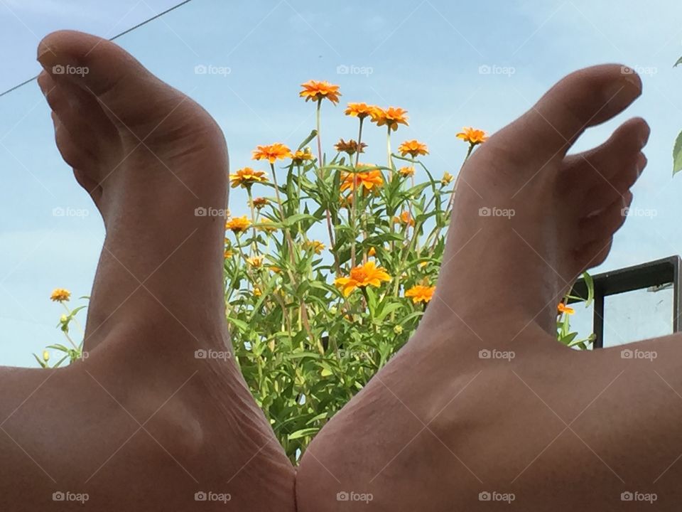 The flowers between the feet