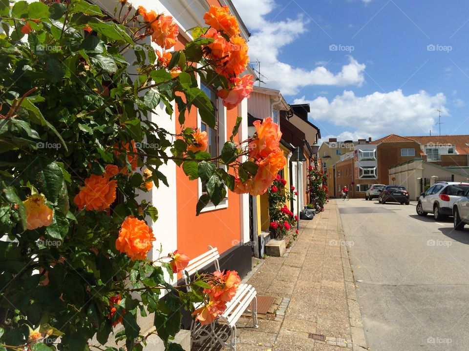 Urban gardening