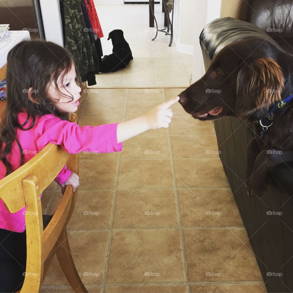 A little girl touching dog's nose at home
