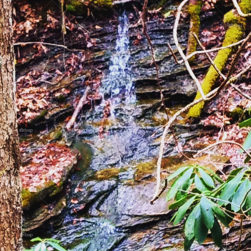 Small Waterfall Stream