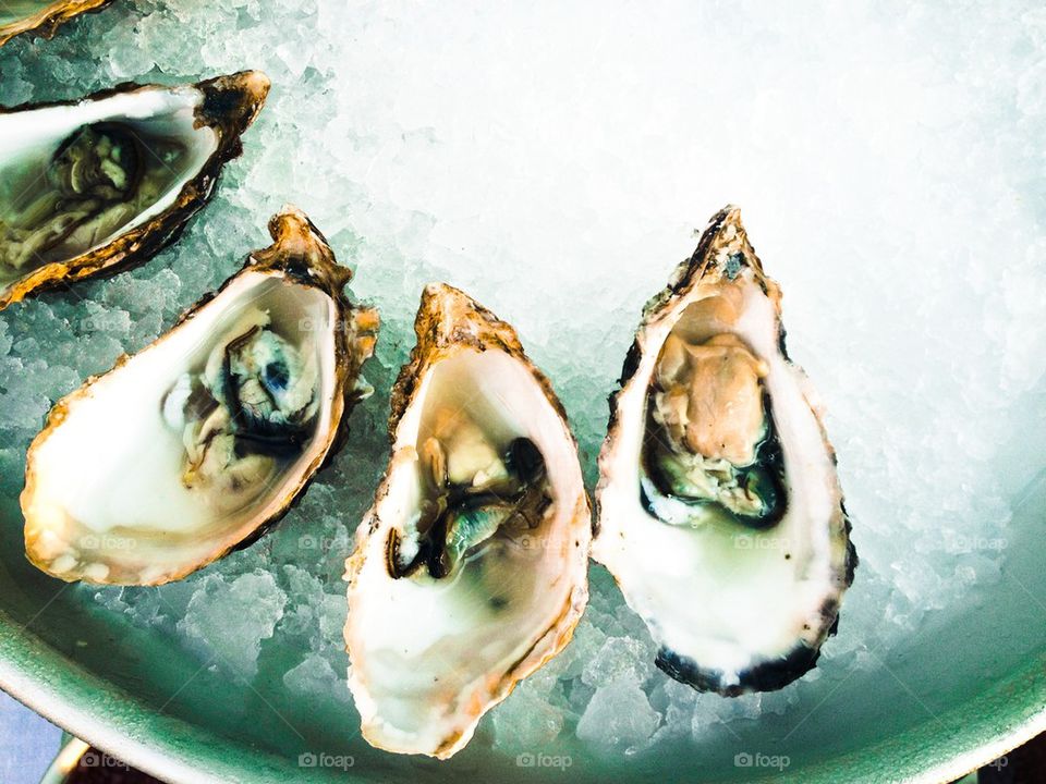 Oysters, ostron