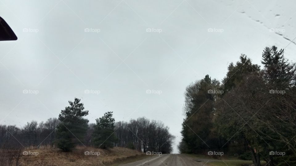 Landscape, Tree, Fog, No Person, Nature