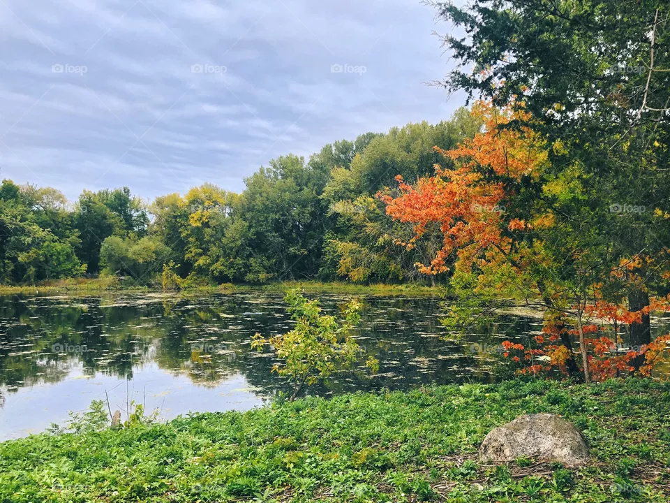 Autumn is Coming