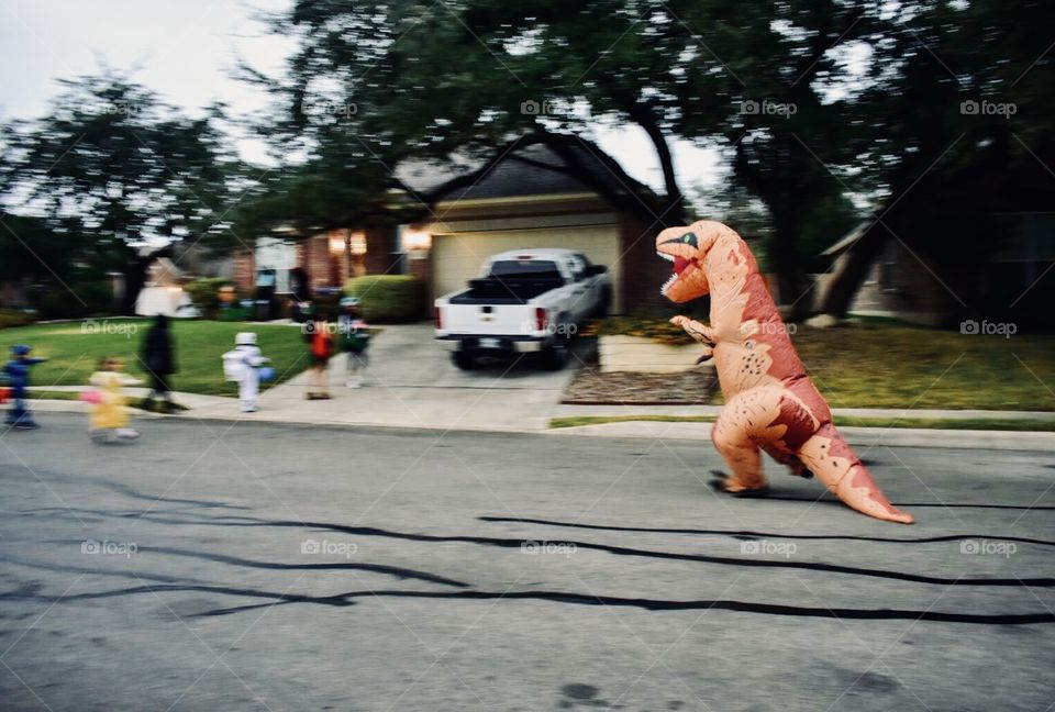 When a dinosaur is on the loose all one can do is either run away fast or take it home to be a pet. Having a dinosaur as a pet seems a lot more interesting.