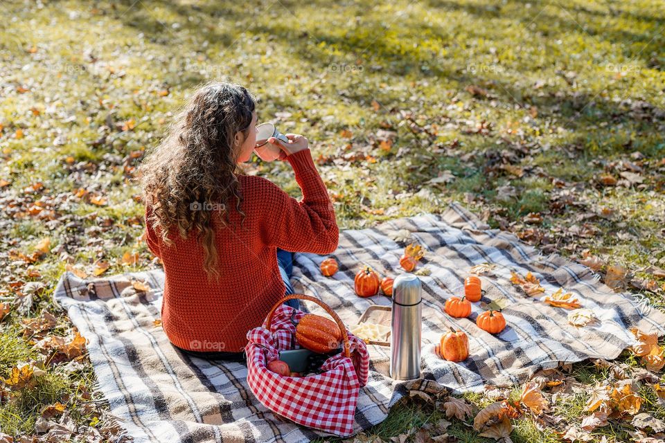 picnic in the park