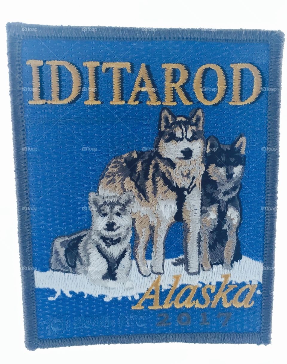 Iditarod Alaska 