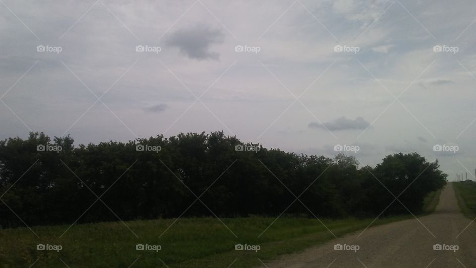 Landscape, Tree, No Person, Daylight, Road