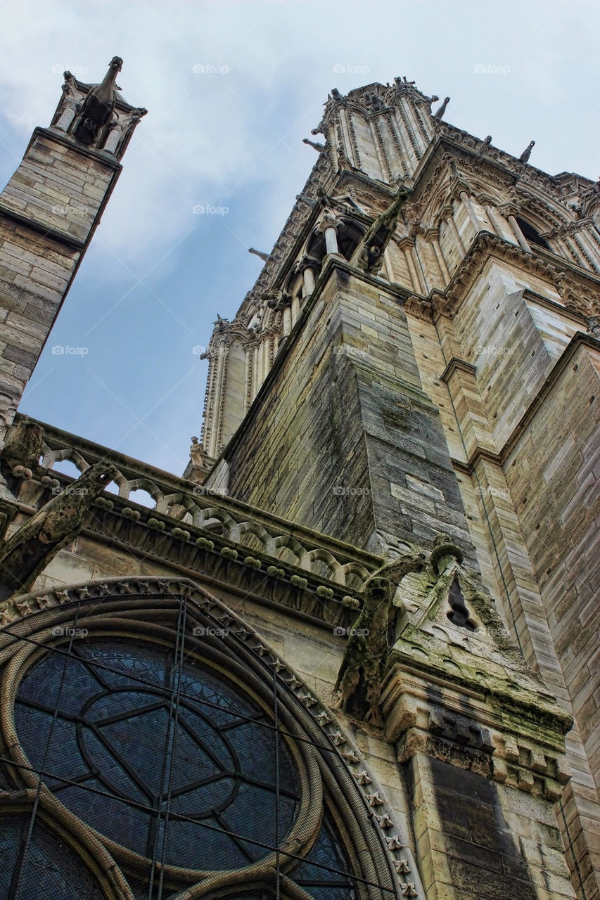 Notre Dame Cathedral, Paris