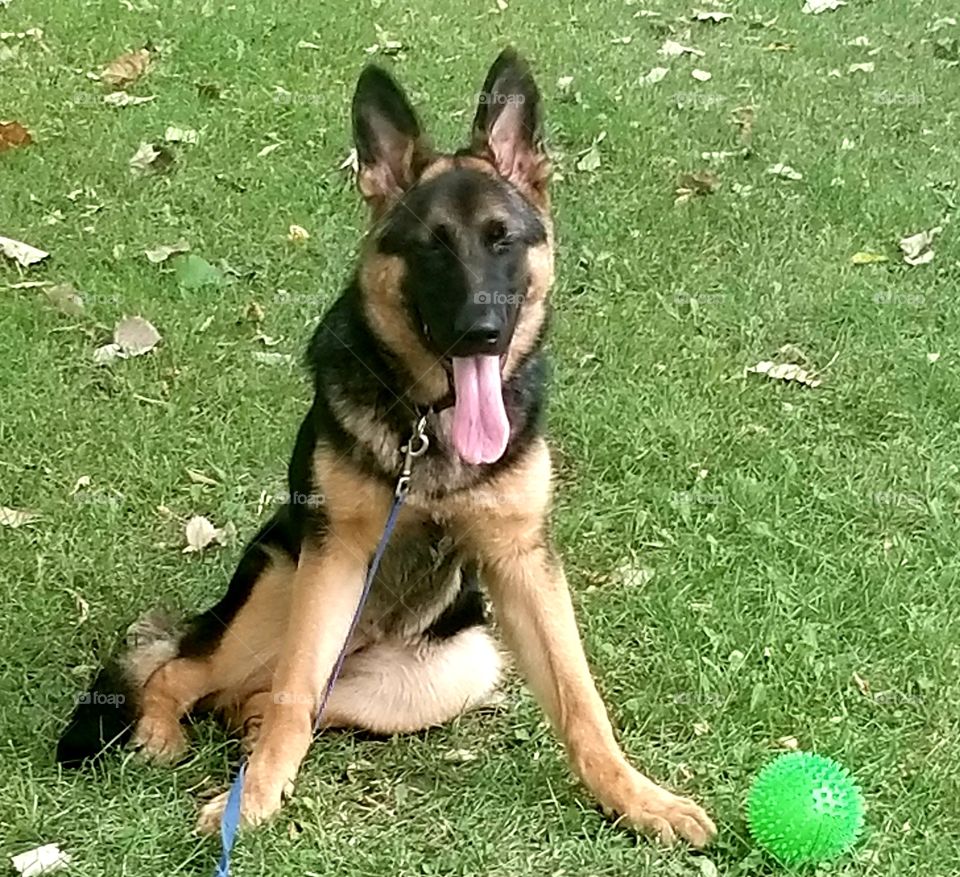 Happy ya I'd say so :)