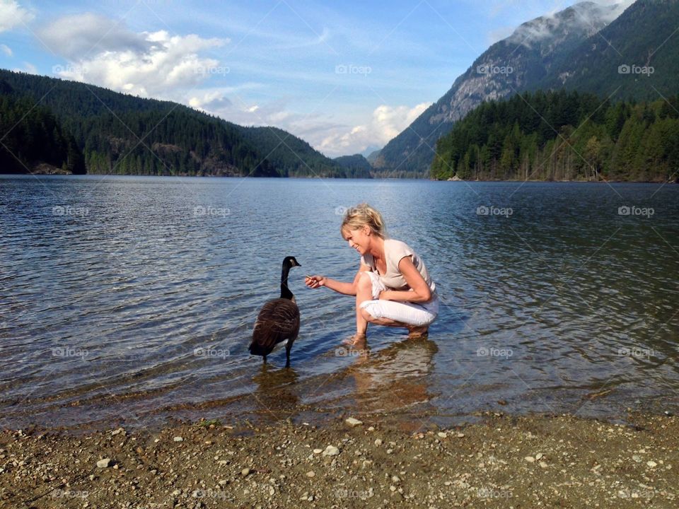 IN the Lake With a Canada Goose. Canada Goose, Buntzen Lake, Anmore, BC, Canada