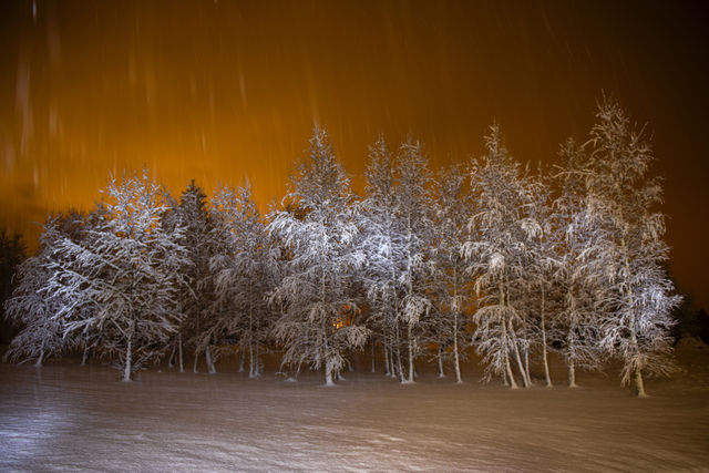 Snowstorm of winter night