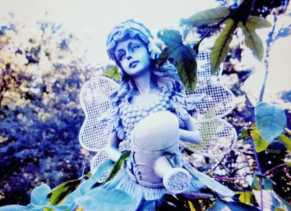 Garden Fairy in Window