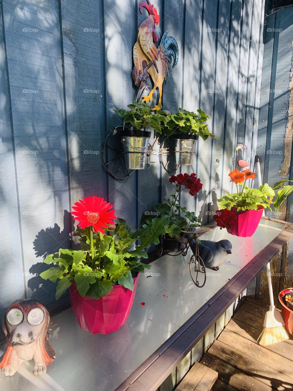 Summer time at the countryside ❤️