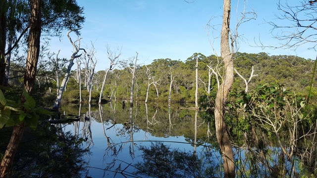 reflections