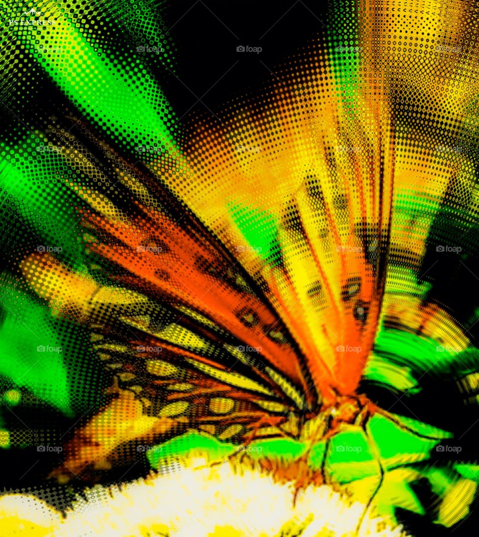 radiating glow from butterfly