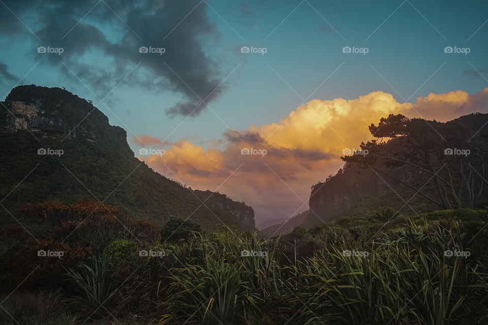 Punakaiki, NZ aka Jurassic Park