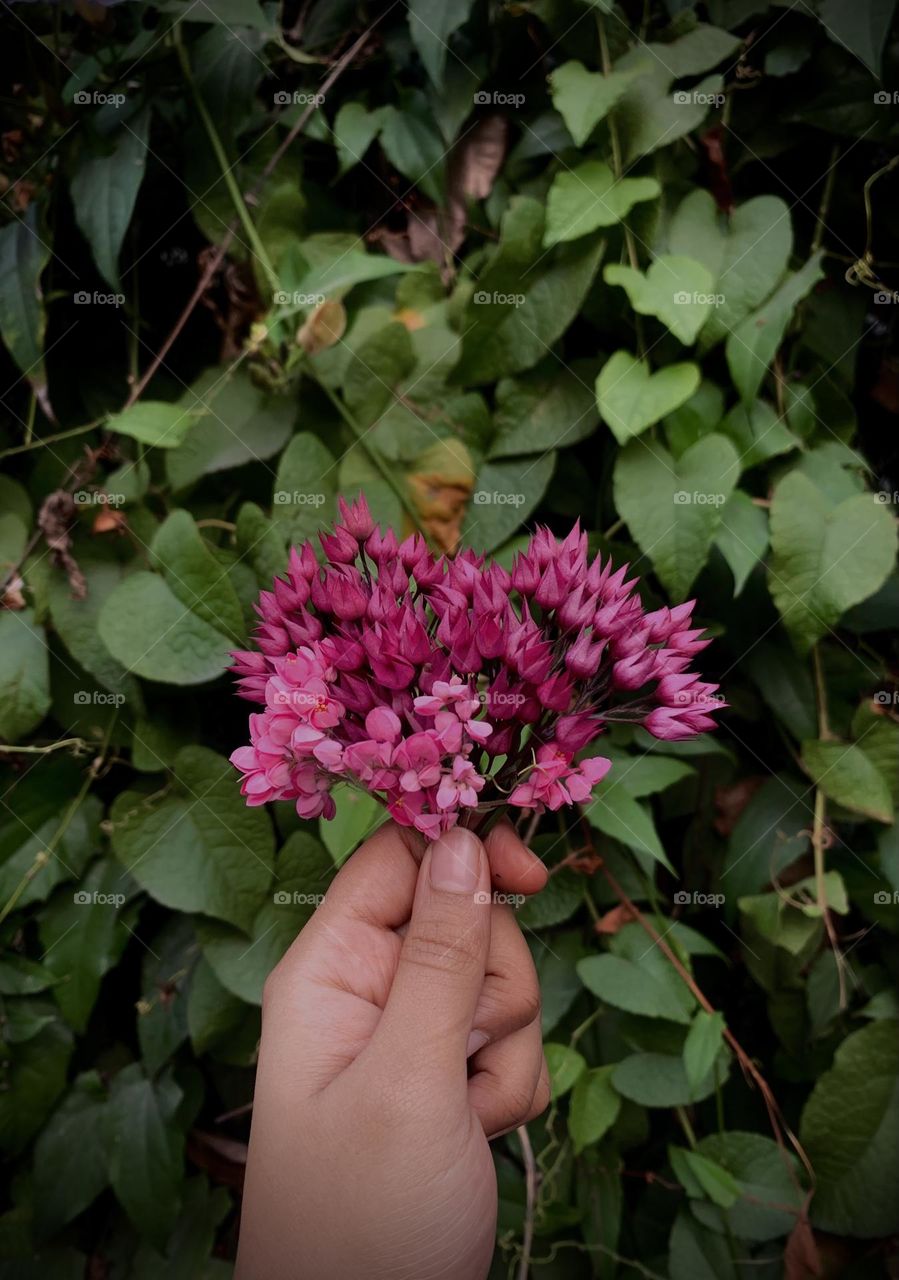 Flower Power 🥀