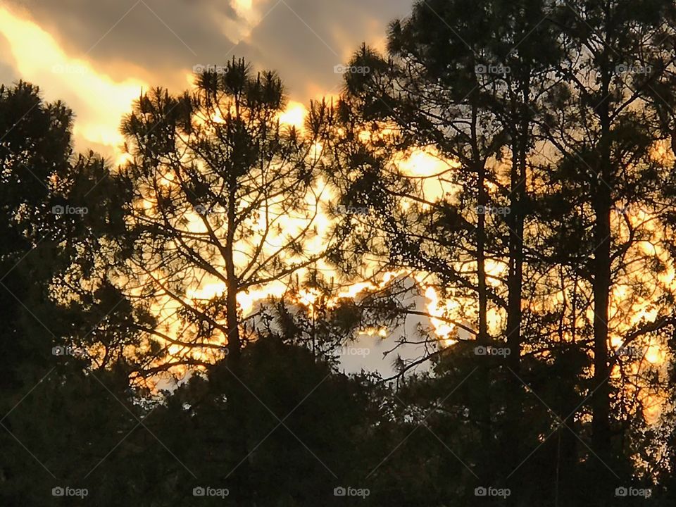 Golden sunset on a stormy evening.