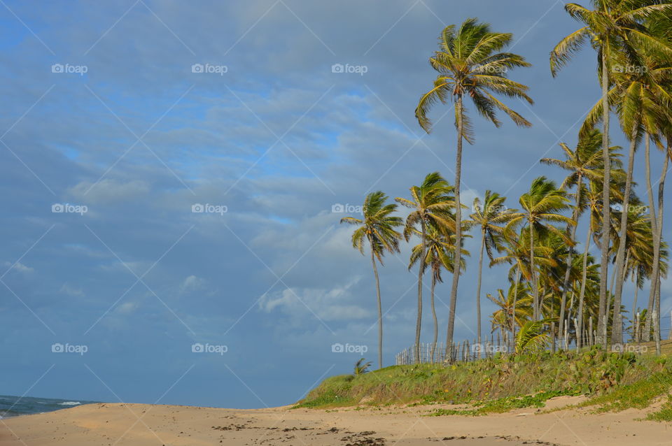 Beach, Sand, No Person, Sky, Travel