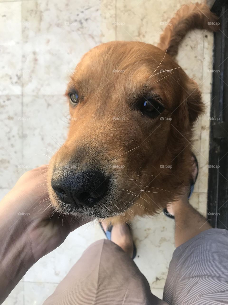 Max y su mirada que siempre recordaremos 