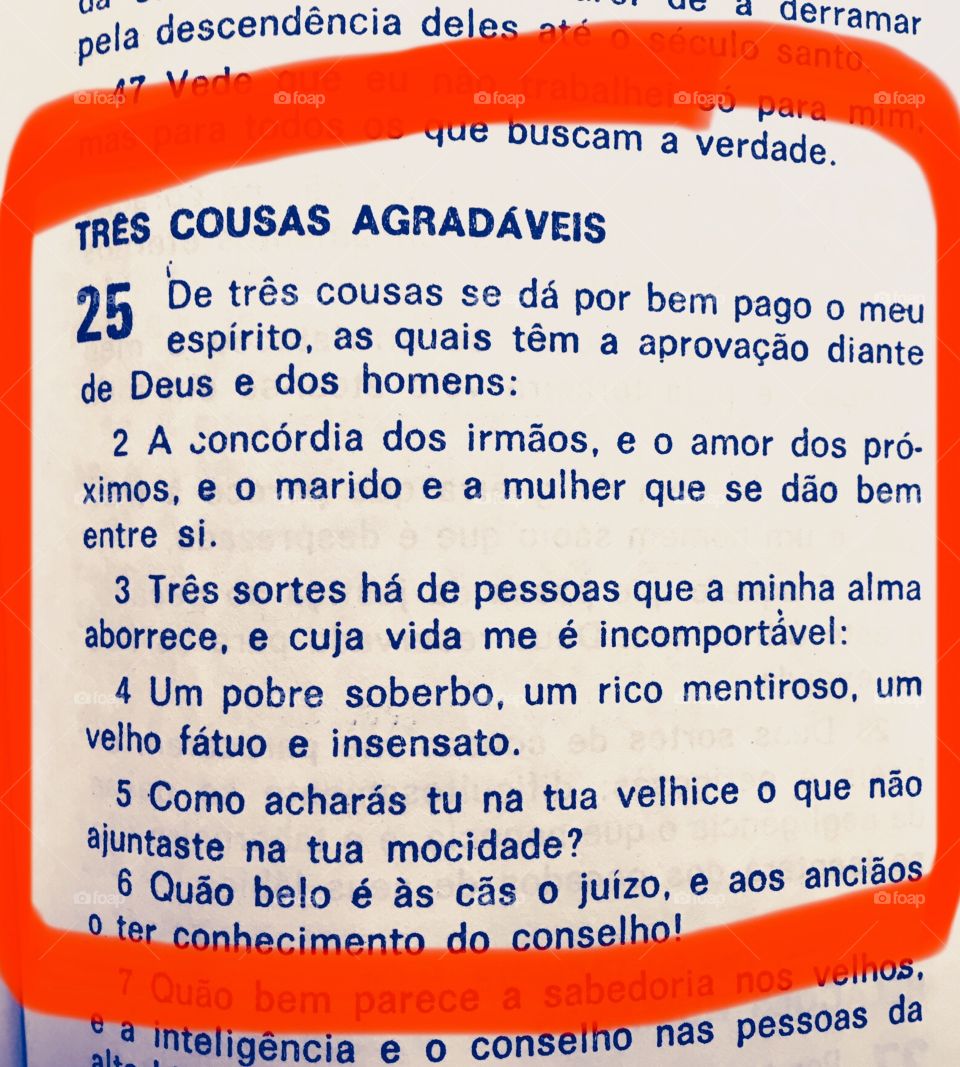 🙏🏻Correndo e Meditando nas virtudes bíblicas de Eclo 25, 1-5: compartilha das virtudes da Palavra de Deus?
(O texto na figura).
⛪
#Fé #Santidade #Catolicismo #Jesus #Cristo #Maria #NossaSenhora #Peace #Tolerância #Fraternidade