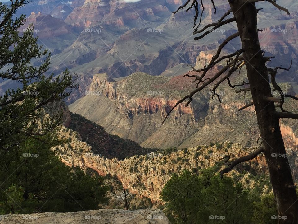 High angle view of grand canyon