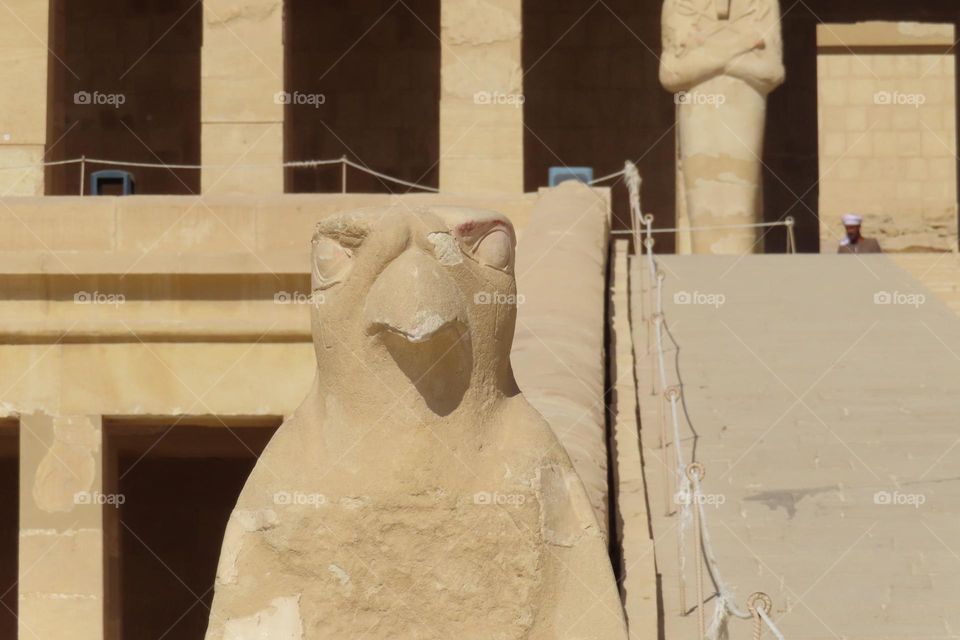 Hatshepsut Temple at Luxor