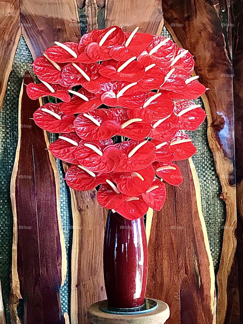 Red Hawaiian Anthurium Flowers in a Vase