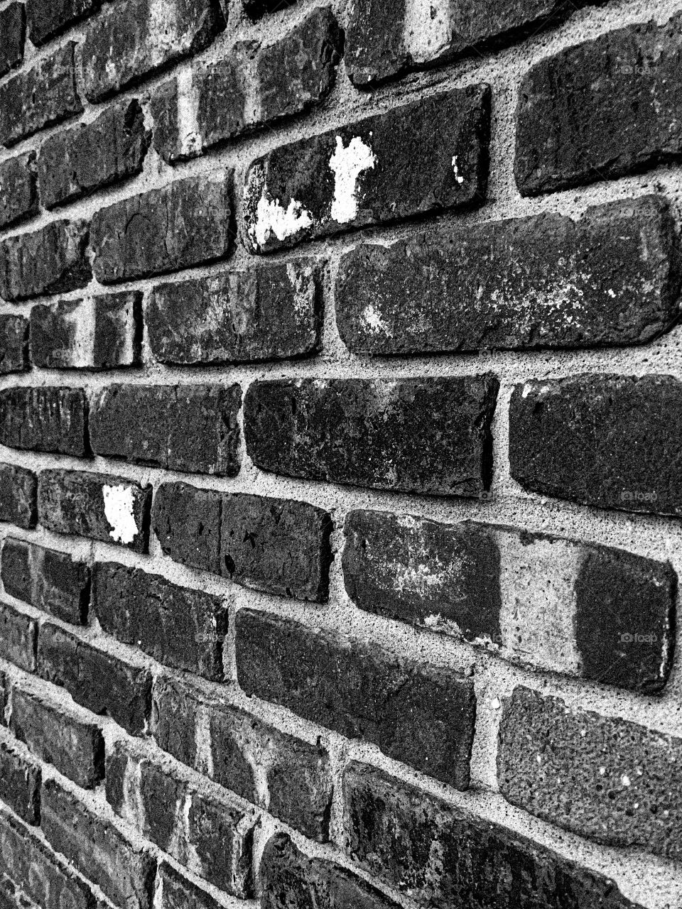 black and white of an old brick wall in the autumn