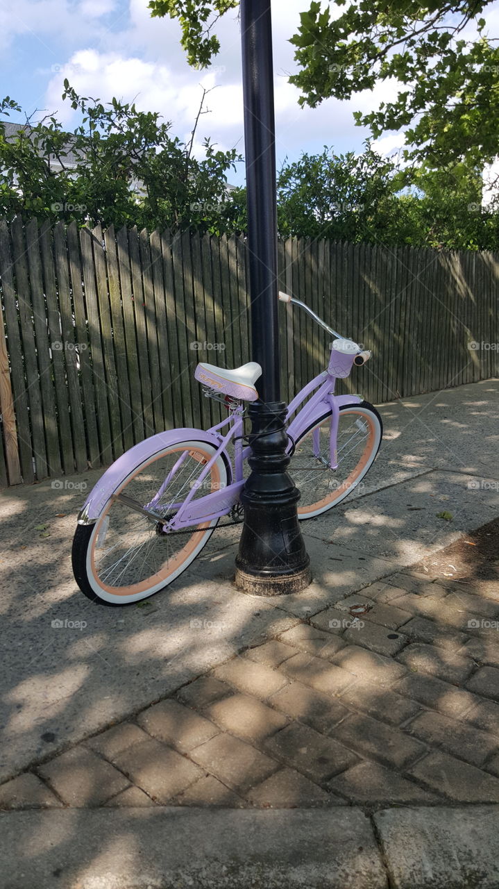 Lilac Bike