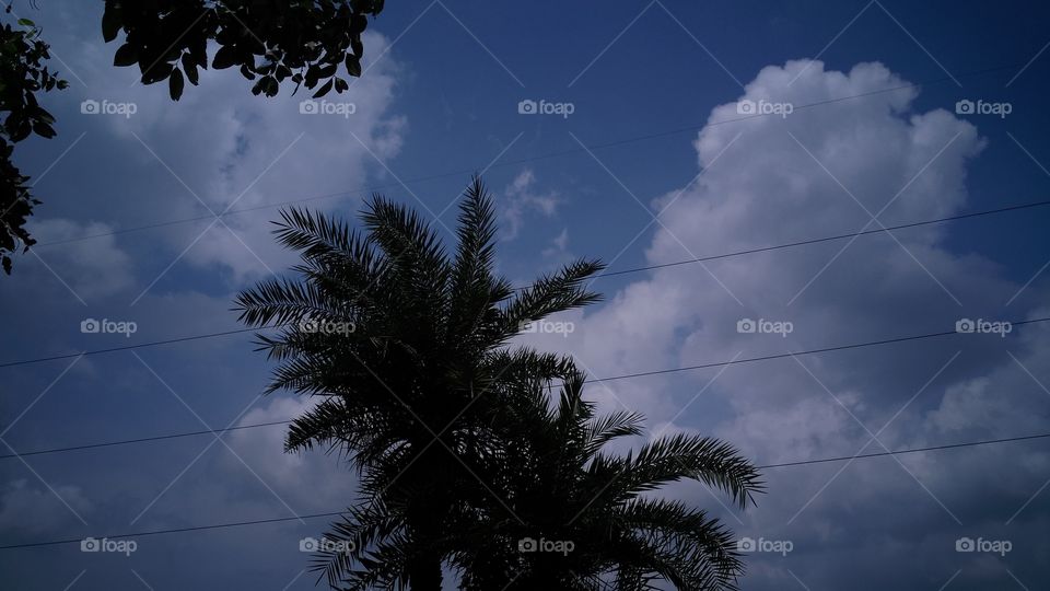 a beautiful cloudy sky on the afternoon.