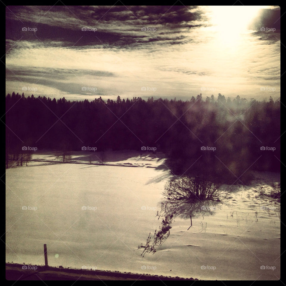 View from a train