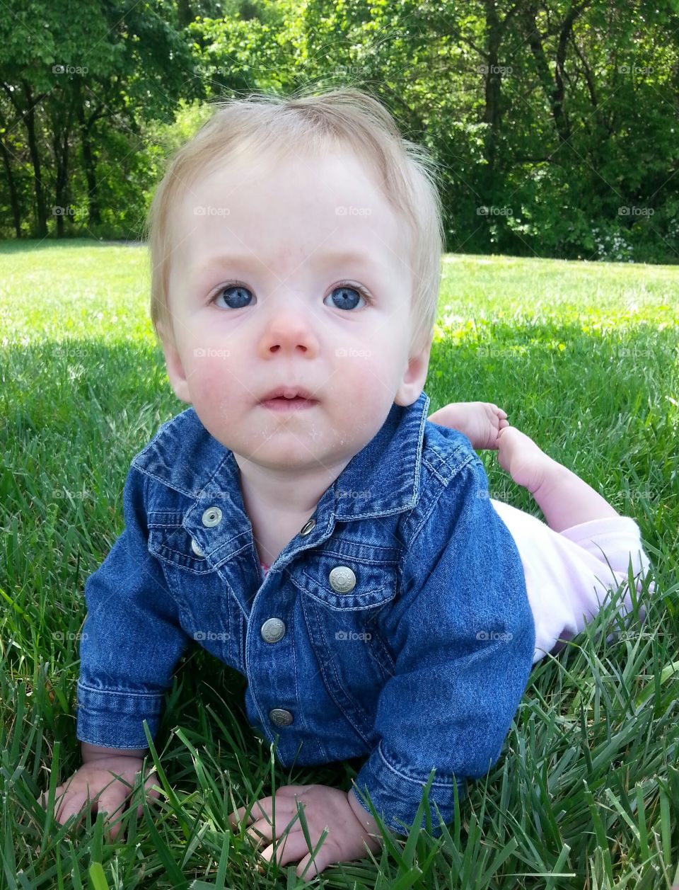 Piercing blue eyes of innocence surrounded by lush green grass