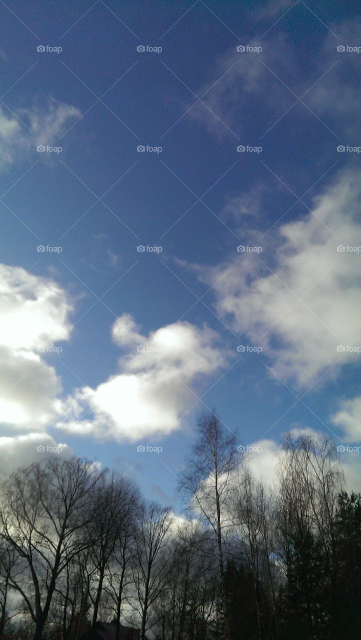 bright sky in winter