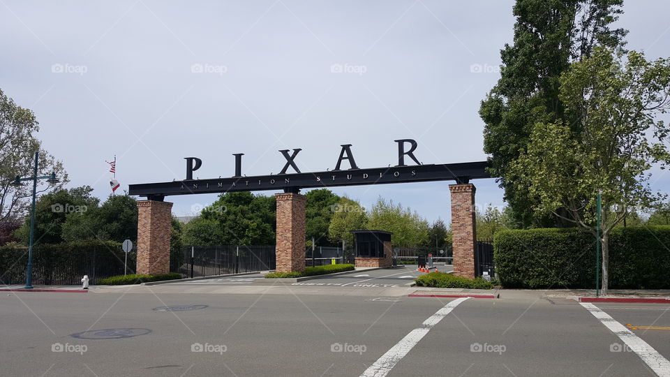 the amazing pixar studios