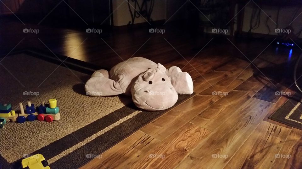 hippo at rest