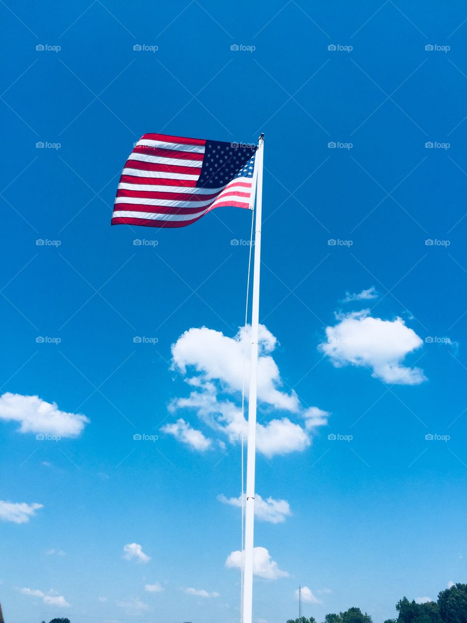 Old Glory flying high