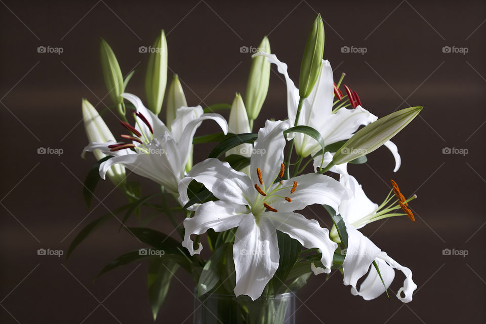 white lilies