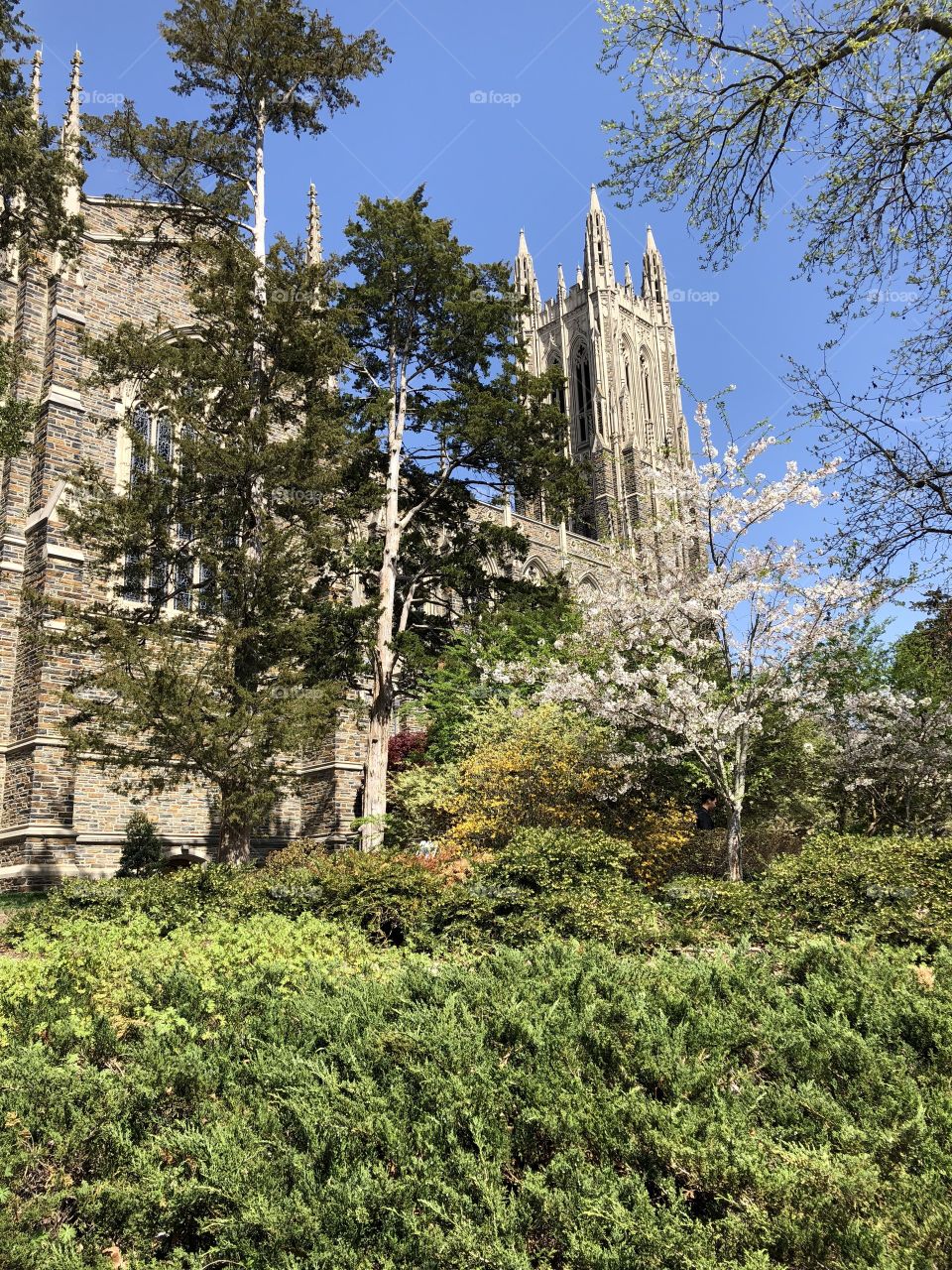 Duke University NC