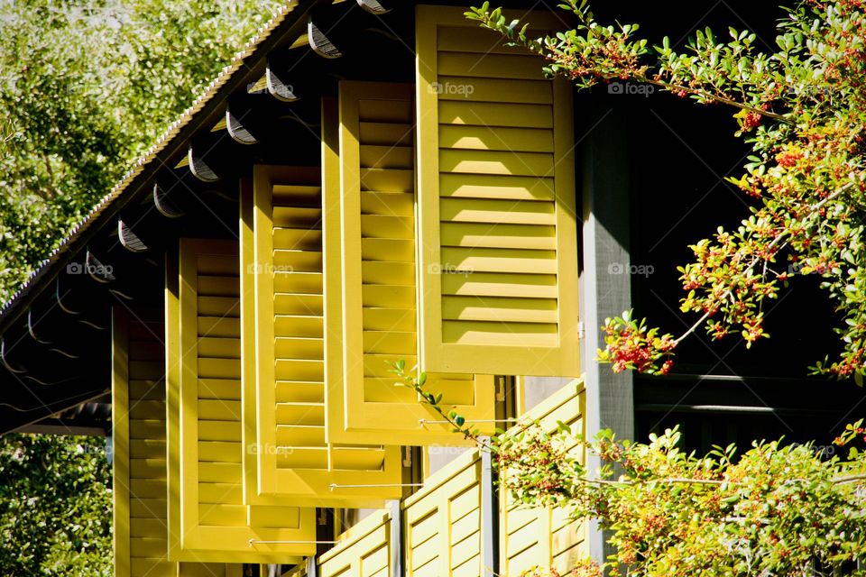 Looking up at outside of a home with open, bright yellow shutters as focal point.
