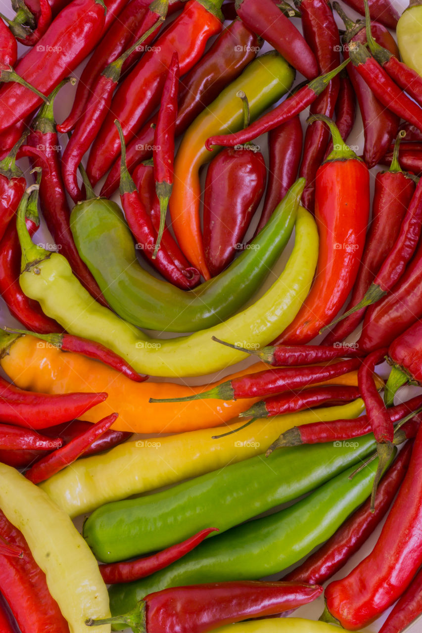 Colorful  chili hot peppers