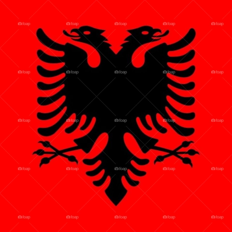Albanien Eagle