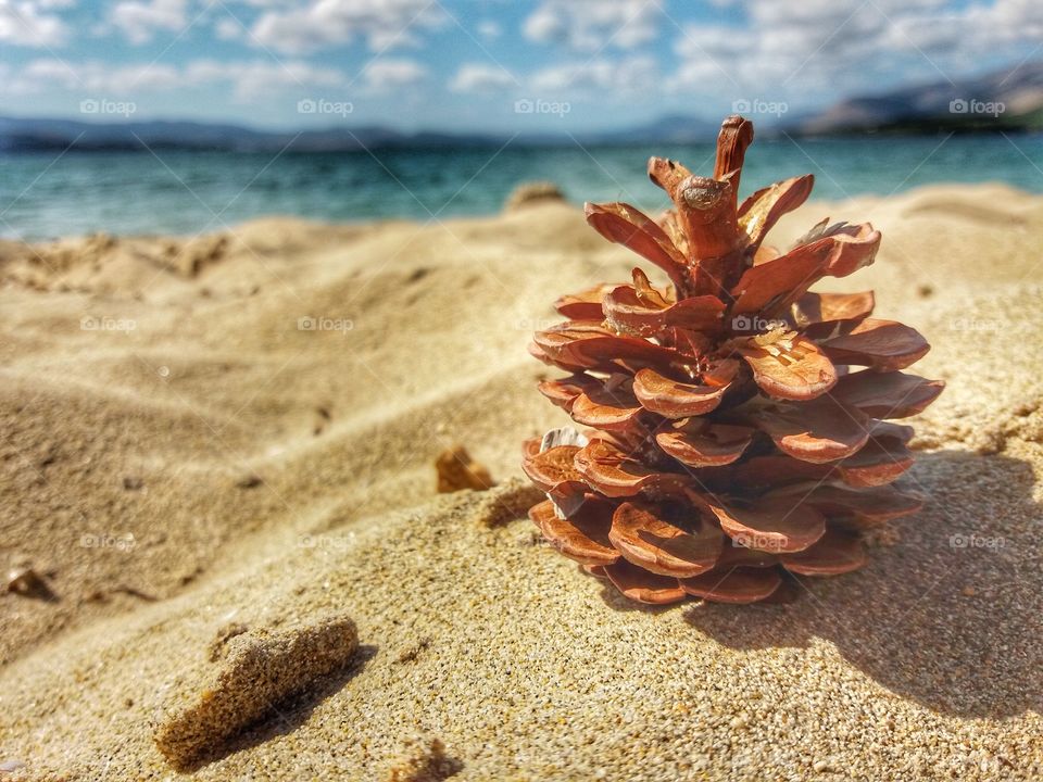 Live where your mind wants!