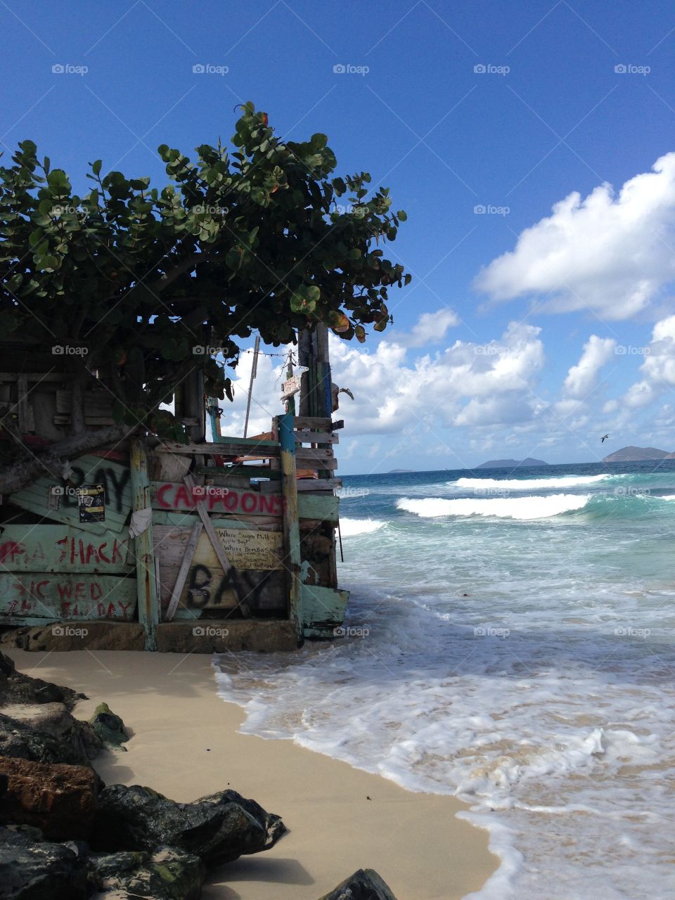 Bomba shack . British Virgin Islands, Bomba Shack. Where the tea is free!! 