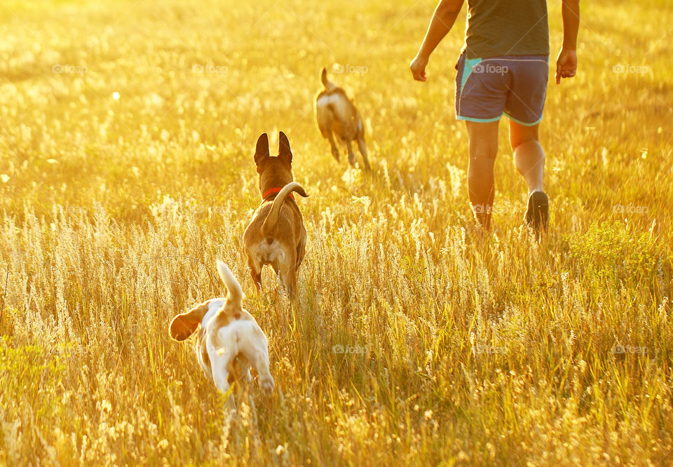 An evening walk