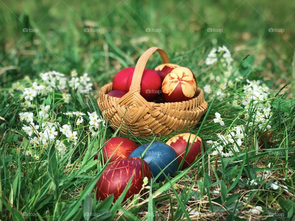 Easter eggs in the grass