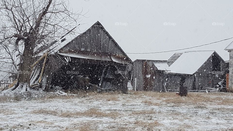 abandoned snowy barn