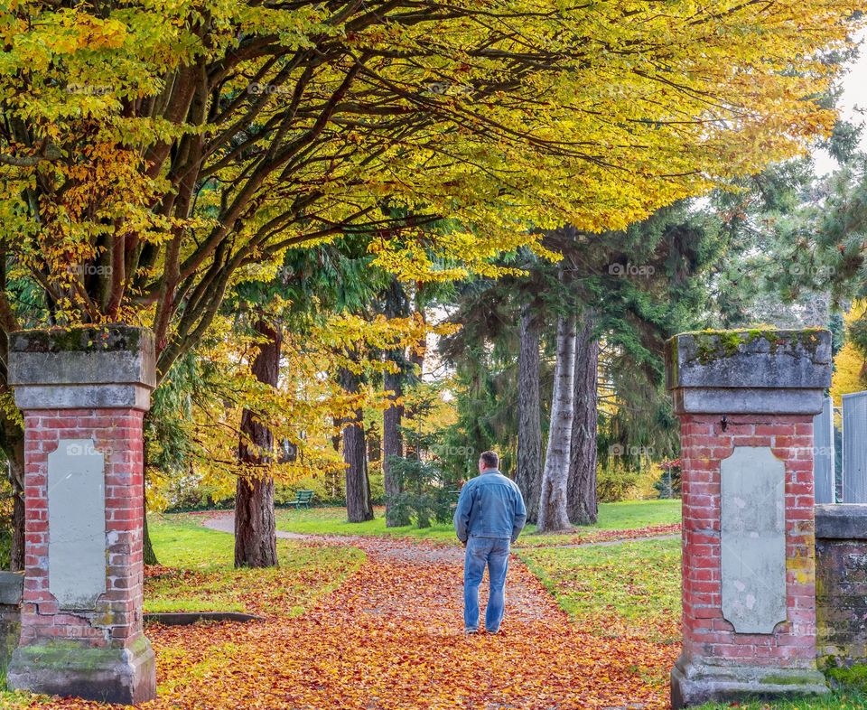 Man walking in colorful park with fallen leaves all around and autumn trees 